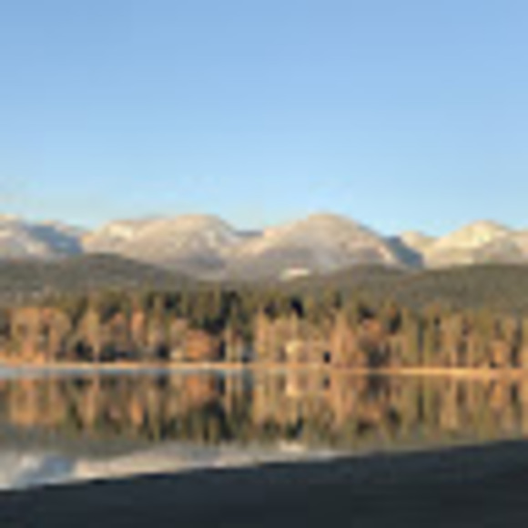 Meet your Posher, Danielle - Picture 2 of 2